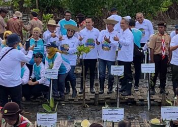 Wakil Bupati Lamongan Dirham Akbar Aksara ikuti Festival Mangrove Jawa Timur VII, Selasa (19/8) di Pantai Bahak Curahdringu, Tongak, Probolinggo